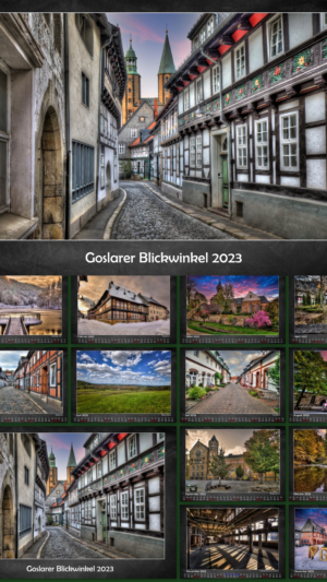 Goslar Perspective 2023